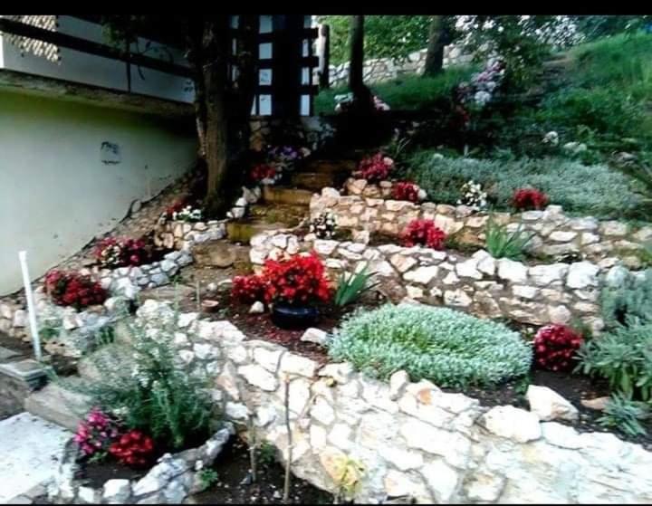 Vila Eva Meduvrsje المظهر الخارجي الصورة