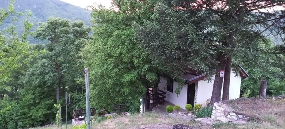 Vila Eva Meduvrsje المظهر الخارجي الصورة