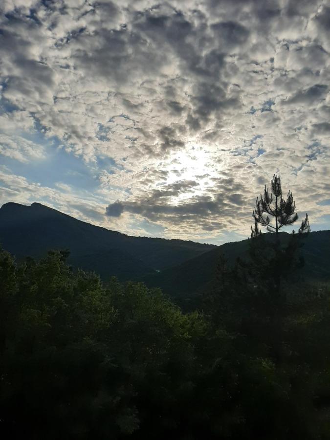 Vila Eva Meduvrsje المظهر الخارجي الصورة