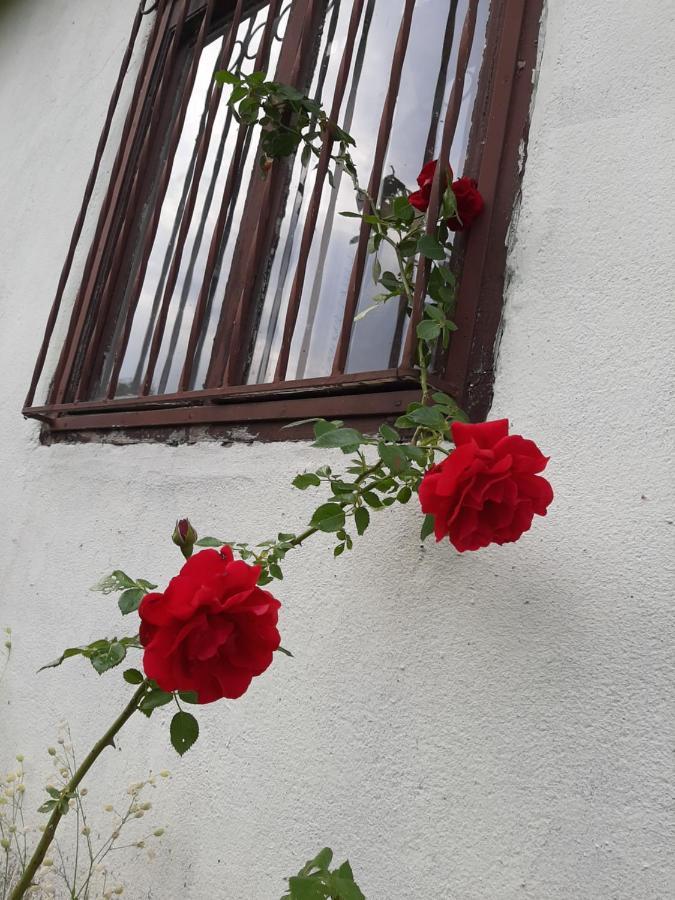 Vila Eva Meduvrsje المظهر الخارجي الصورة