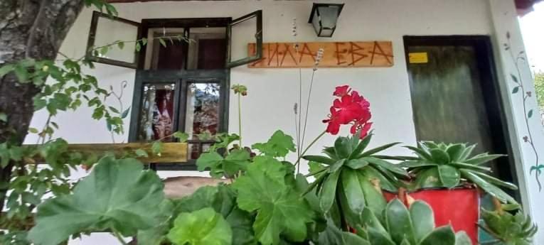 Vila Eva Meduvrsje المظهر الخارجي الصورة